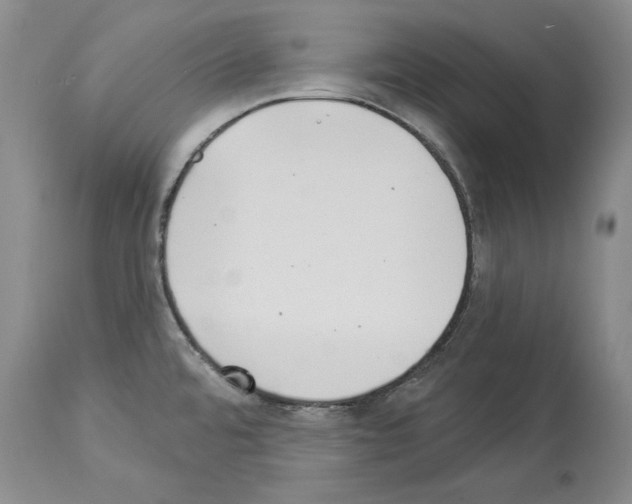 X0000113941480200911061230
