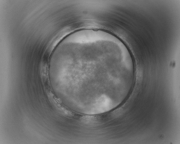 X0000113941481200911061230