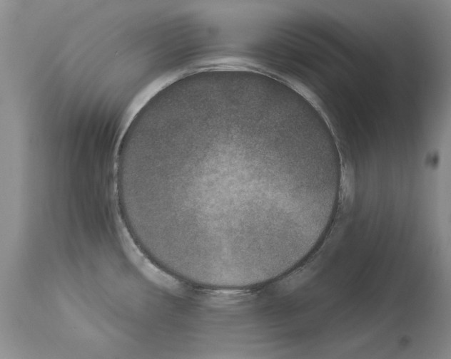 X0000113941482200911061230