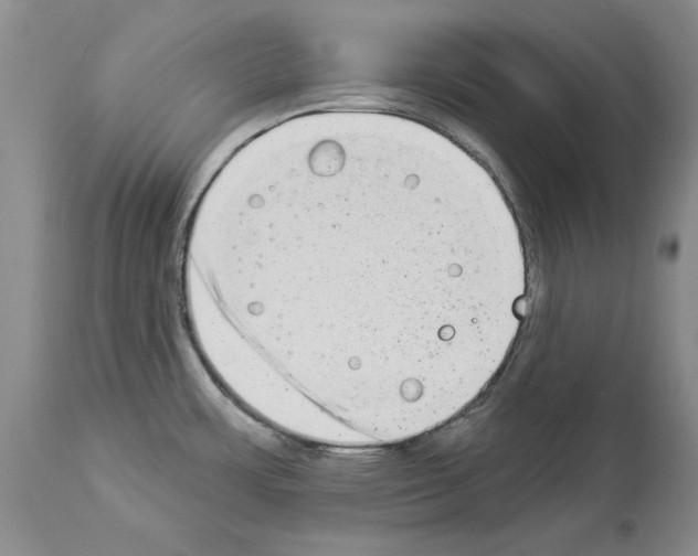 X0000113941483200911061230