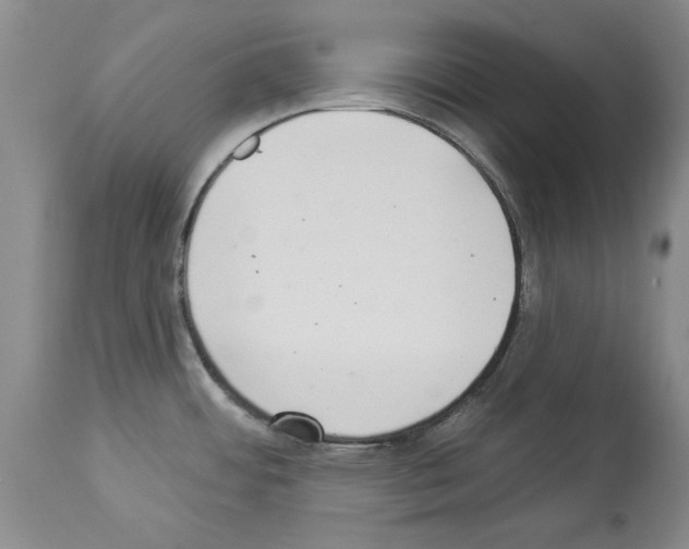X0000113941484200911061230