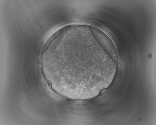 X0000113941485200911061230