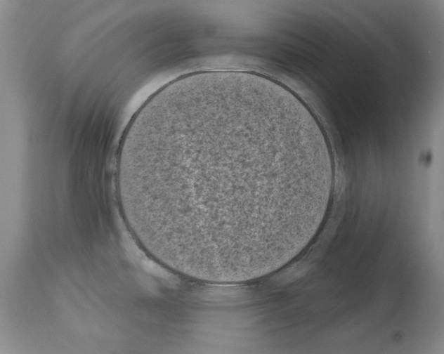 X0000113941486200911061230