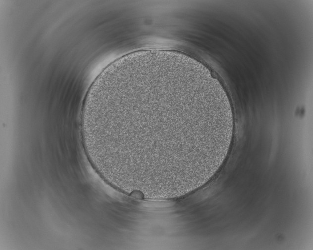 X0000113941487200911061230