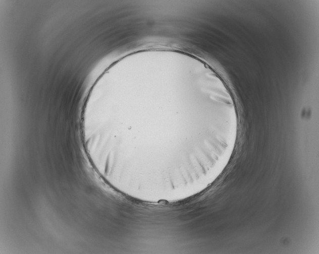 X0000113941488200911061230