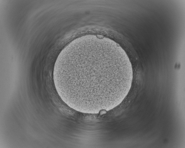 X0000113941489200911061229
