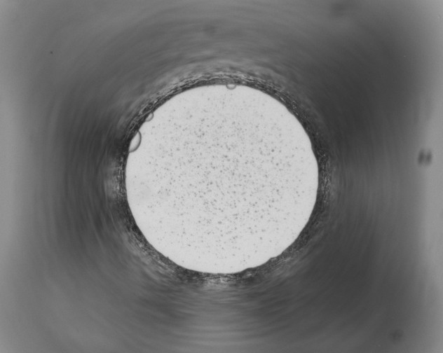 X0000113941490200911061229