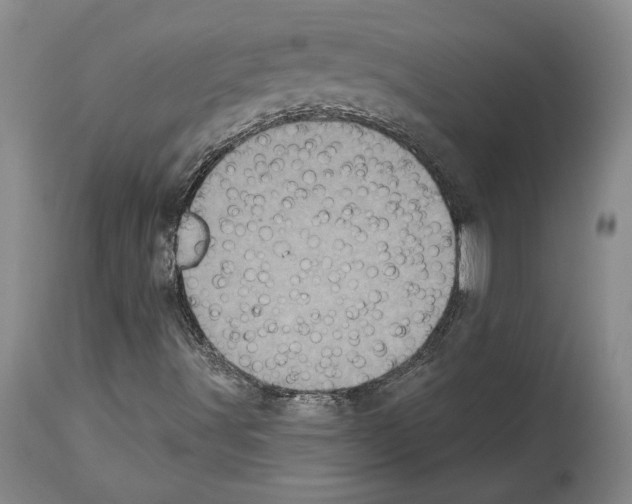 X0000113941491200911061229
