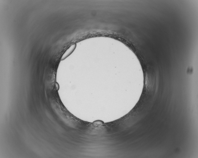 X0000113941492200911061229