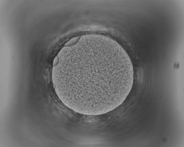 X0000113941493200911061229