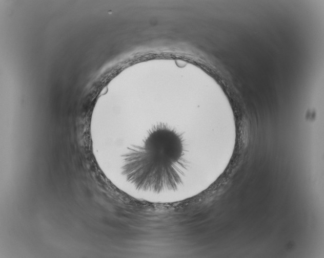 X0000113941494200911061229