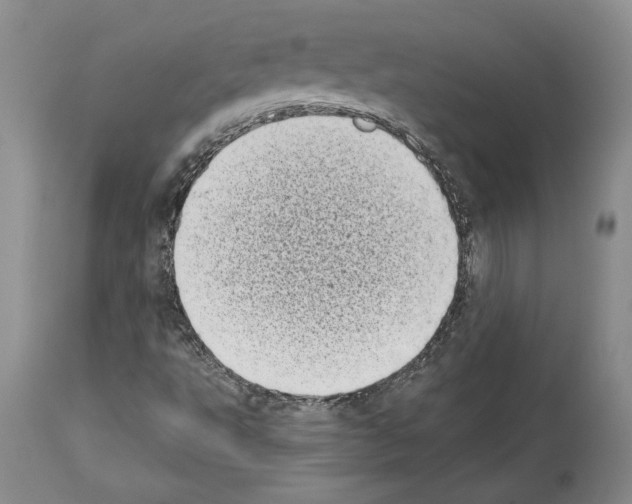 X0000113941495200911061229