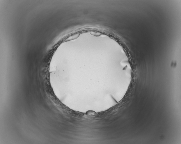 X0000113941496200911061229