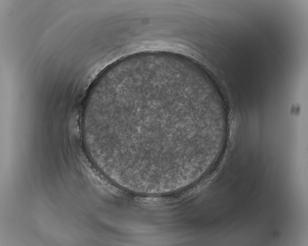 X0000113941497200911061229