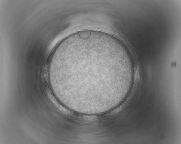 X0000113941498200911061229