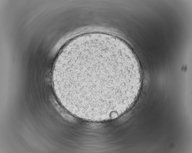 X0000113941499200911061229