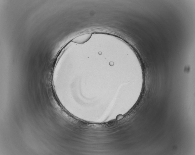 X0000113941500200911061229