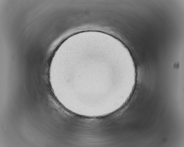 X0000113941502200911061229