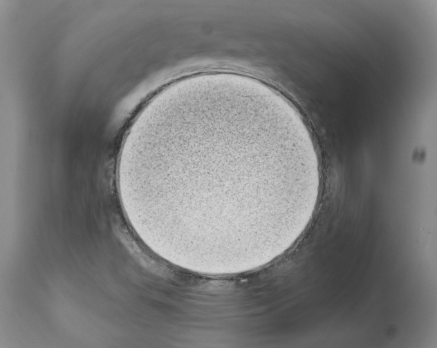 X0000113941503200911061229