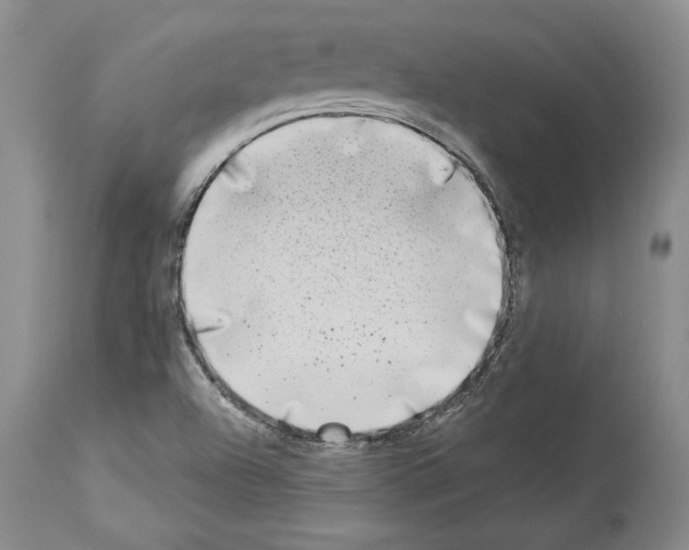 X0000113941504200911061229