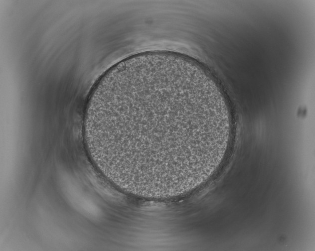 X0000113941505200911061229