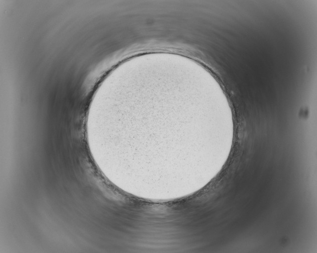 X0000113941507200911061229