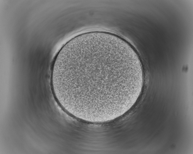 X0000113941508200911061229