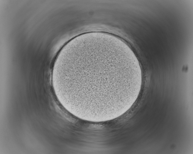 X0000113941509200911061229
