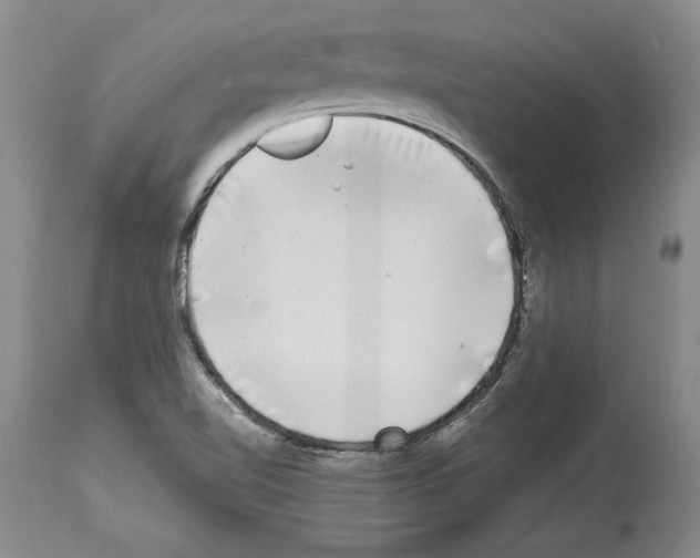 X0000113941510200911061230