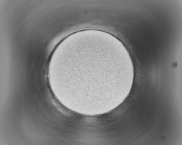 X0000113941511200911061230