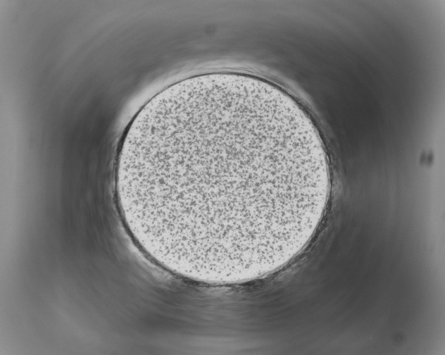 X0000113941512200911061230