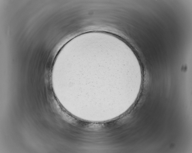 X0000113941513200911061230