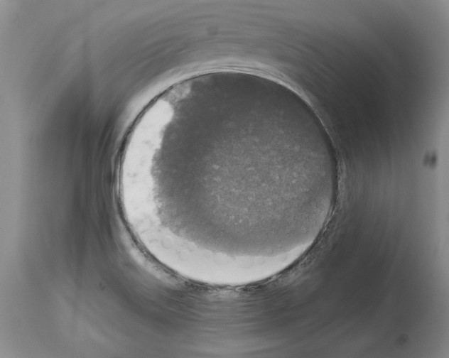 X0000113941515200911061230