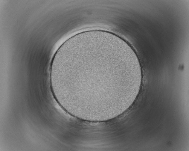 X0000113941516200911061230