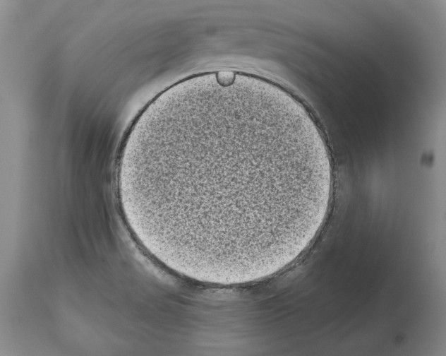 X0000113941517200911061230