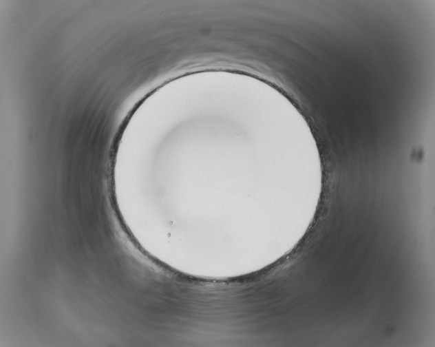 X0000113941518200911061230