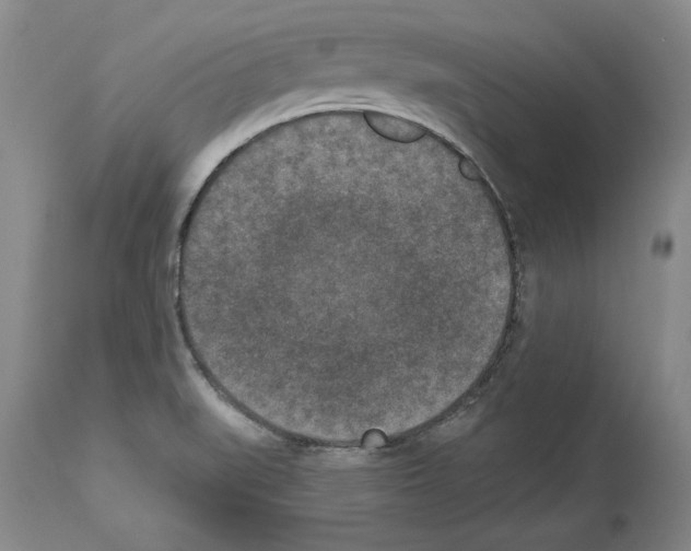 X0000113941519200911061230