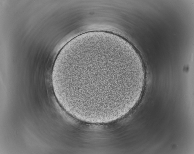 X0000113941521200911061230