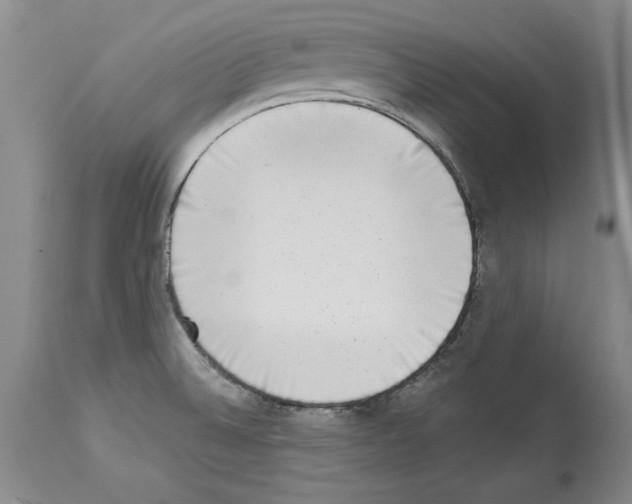 X0000113941524200911061230