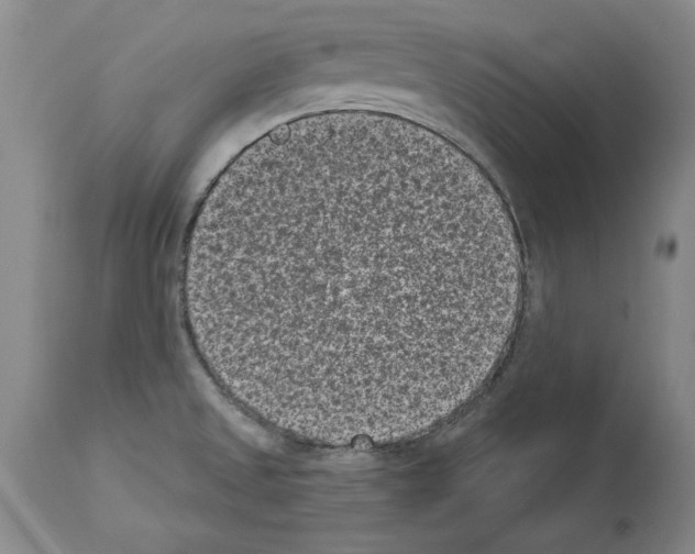 X0000113941525200911061230