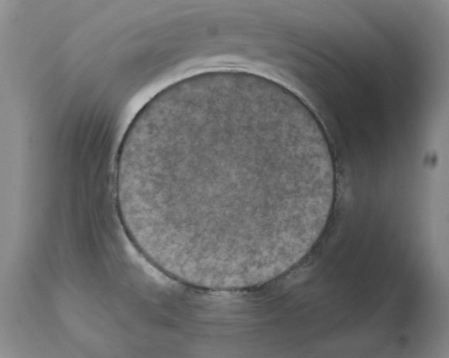 X0000113941527200911061230