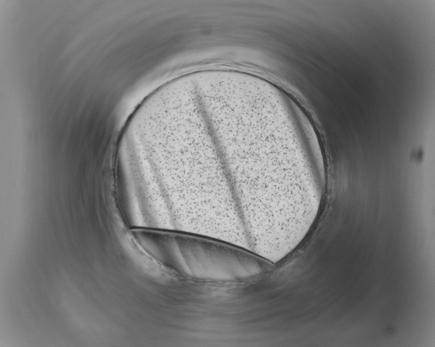 X0000113941530200911061230