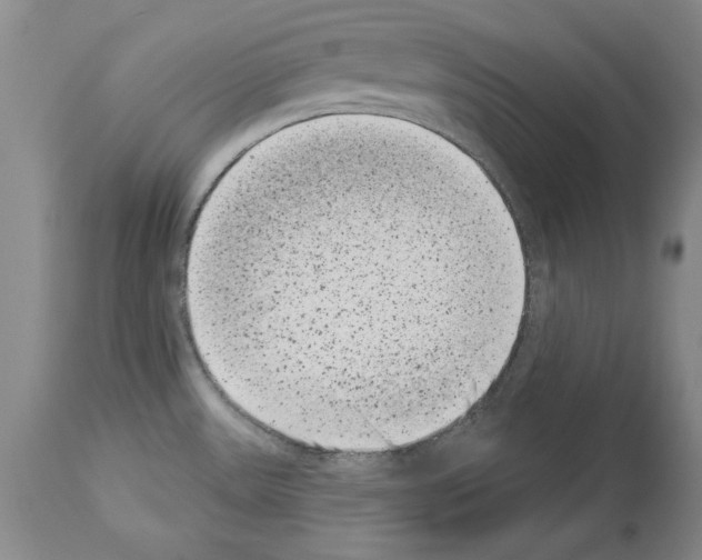 X0000113941531200911061230