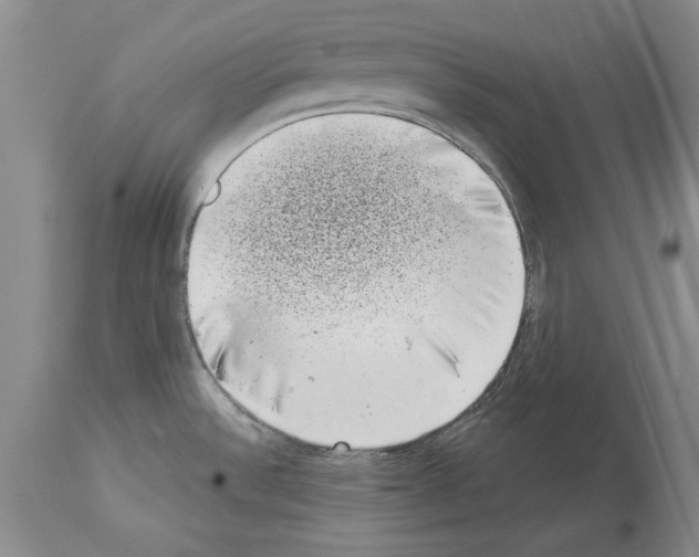 X0000113941532200911061230