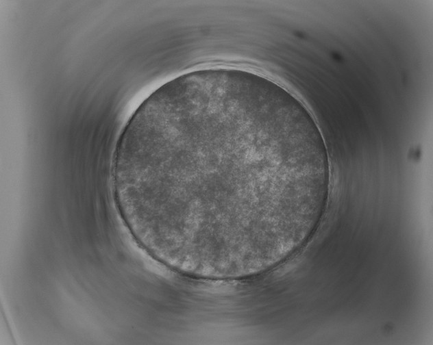X0000113941533200911061230