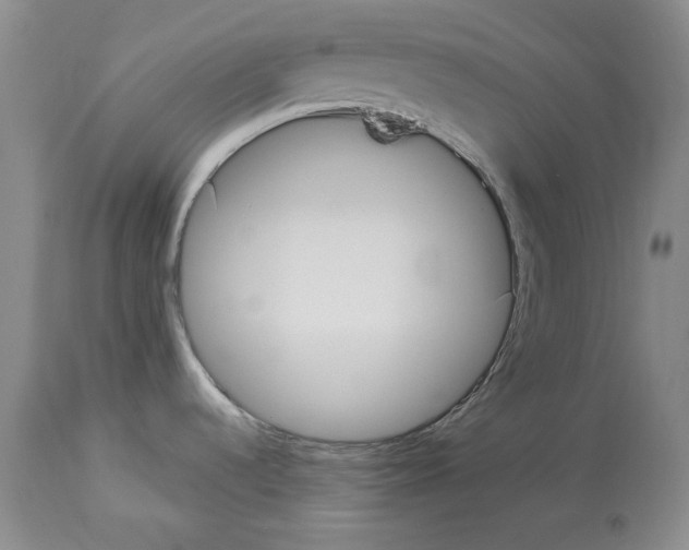 X0000113941536200911061230