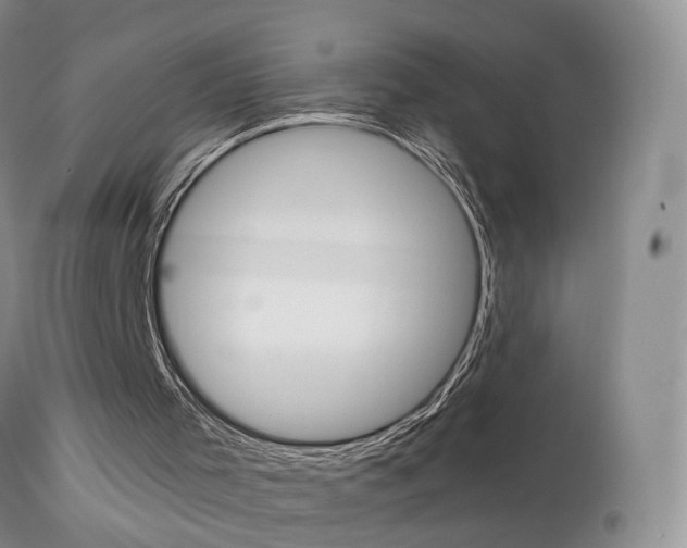 X0000113950001200909251014