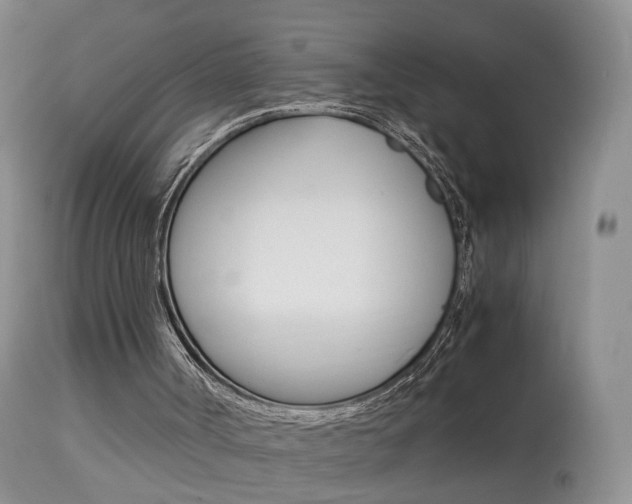 X0000113950002200909251014