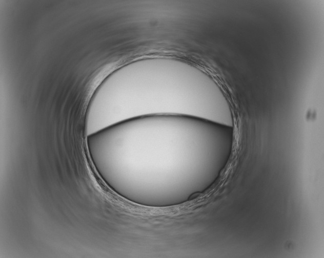 X0000113950003200909251014