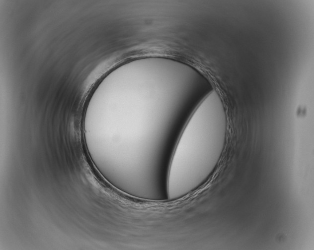 X0000113950004200909251014